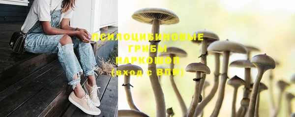 кокаин перу Инта