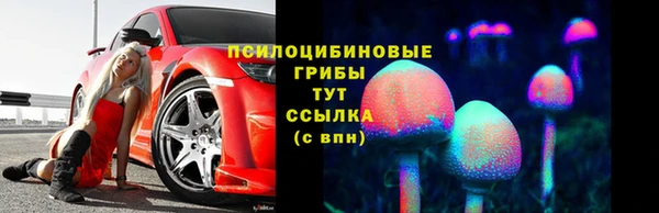 таблы Инсар