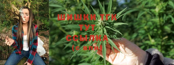 спиды Иннополис